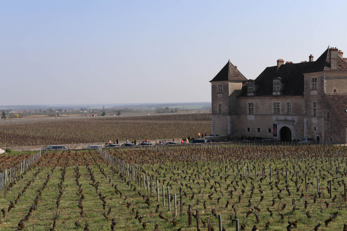 semi-marathon de la vente des vins - Nuits-Saint-Georges
