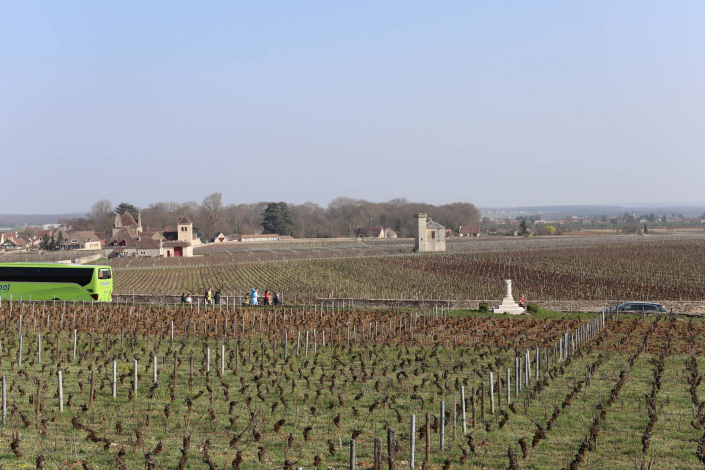 semi-marathon de la vente des vins - Nuits-Saint-Georges